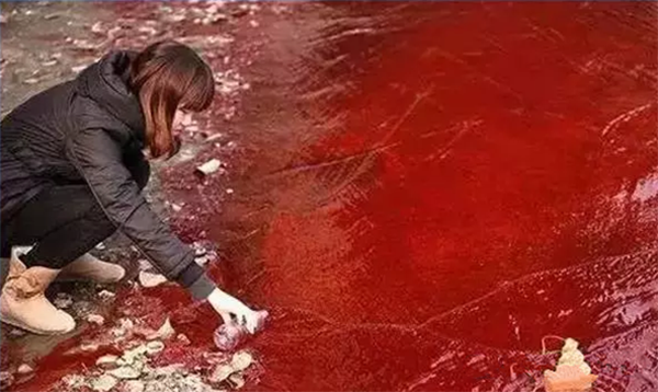 水污染.png